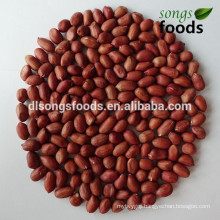 Brokers for Four Red Skin Peanut Kernels